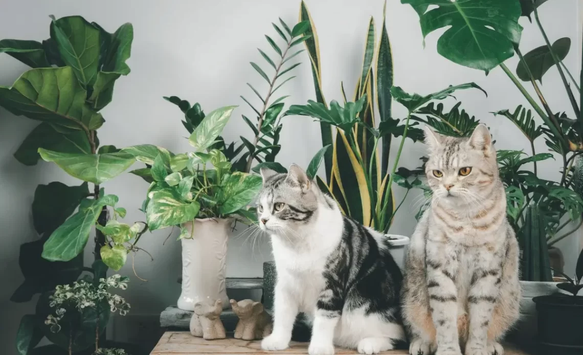 Houseplants That Are Toxic to Cats